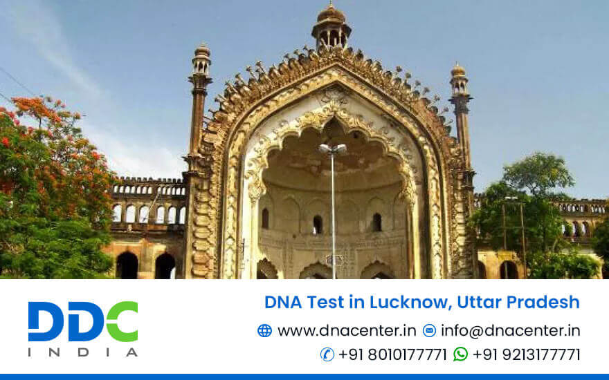 DNA Test in Lucknow | DNA Test Cost in Lucknow, Uttar Pradesh