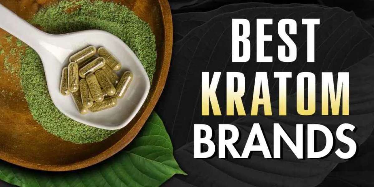 The Rise of Kratom Capsules: Understanding Benefits, Risks, and Usage