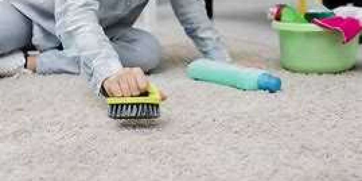 Invest in Tomorrow: How Carpet Cleaning Saves You Money