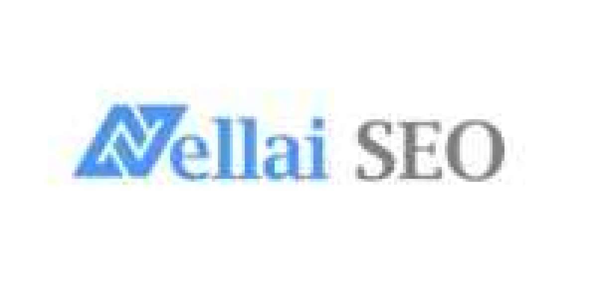 The Top 10 SEO Companies in Chennai You Should Know About (Nellaiseo)
