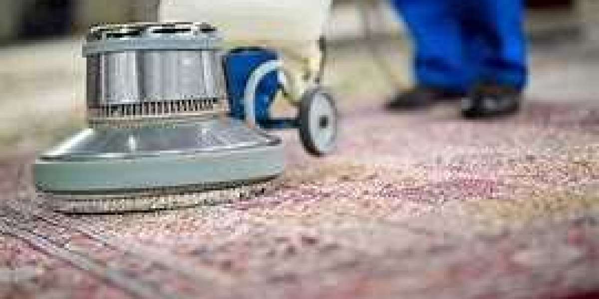 Elevate Your Living Standards: Professional Carpet Cleaning Essentials