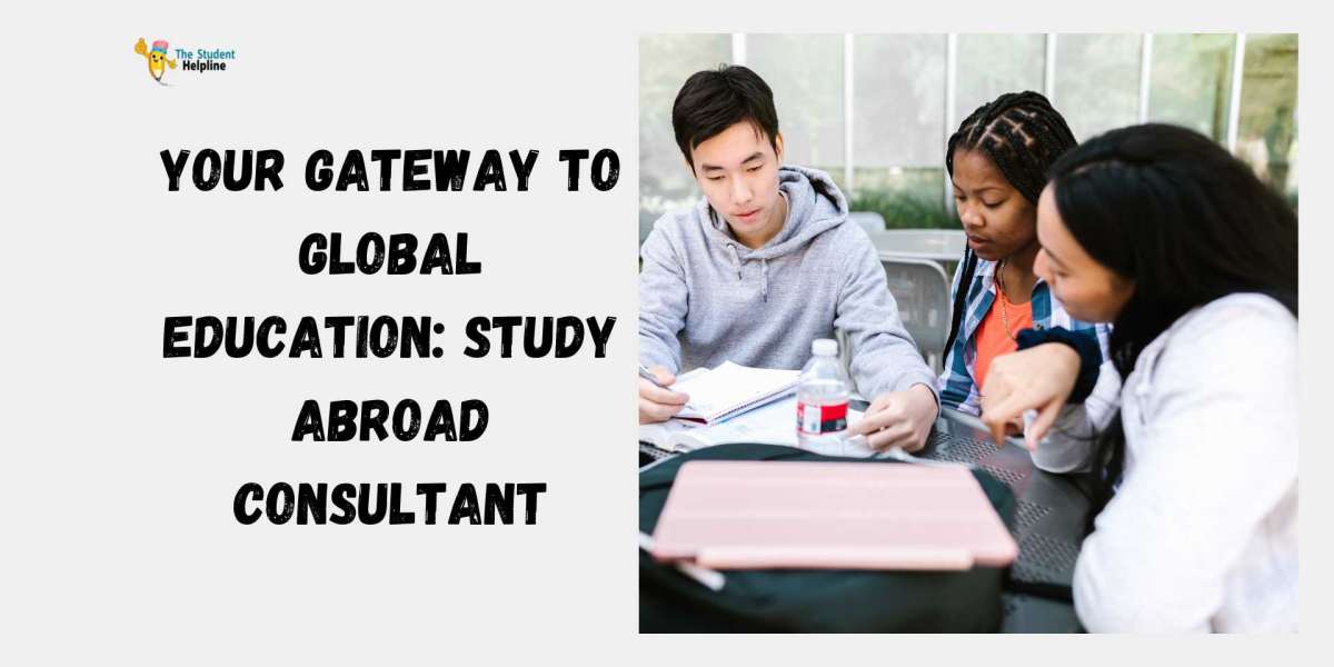 Your Gateway to Global Education: Study Abroad Consultant