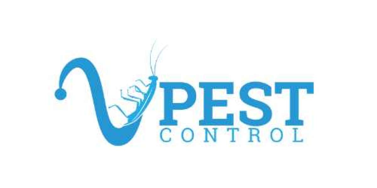 Expert Rodent Control in Miami - V Pest Control