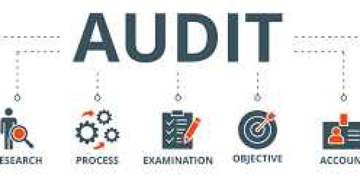 A Comprehensive Guide to Audit Services in Dubai